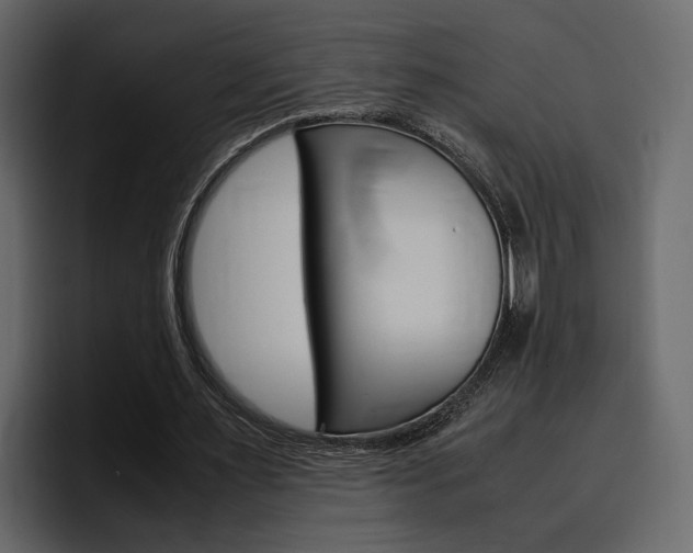 X0000097480483200802220823