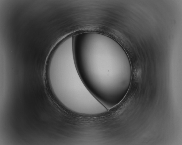 X0000097480484200802220823