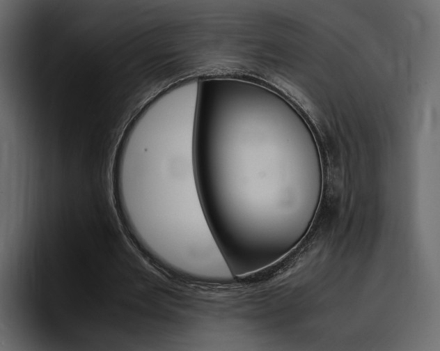 X0000097480485200802220823