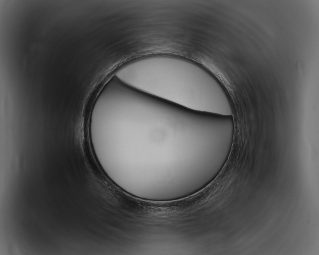 X0000097480486200802220823