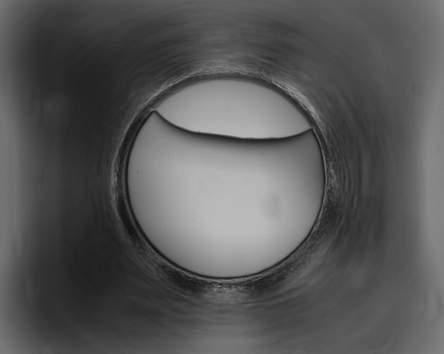 X0000097480487200802220823