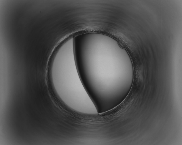 X0000097480488200802220823