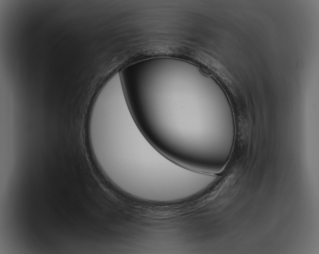 X0000097480489200802220823
