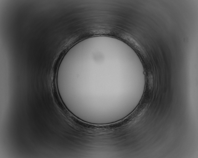 X0000097480490200802220823