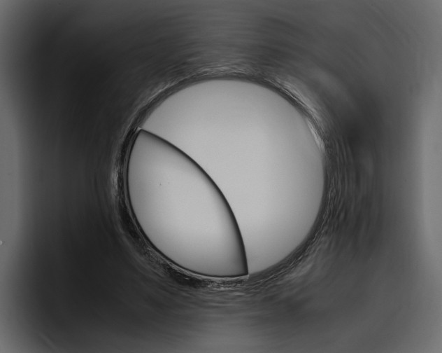 X0000097480491200802220823