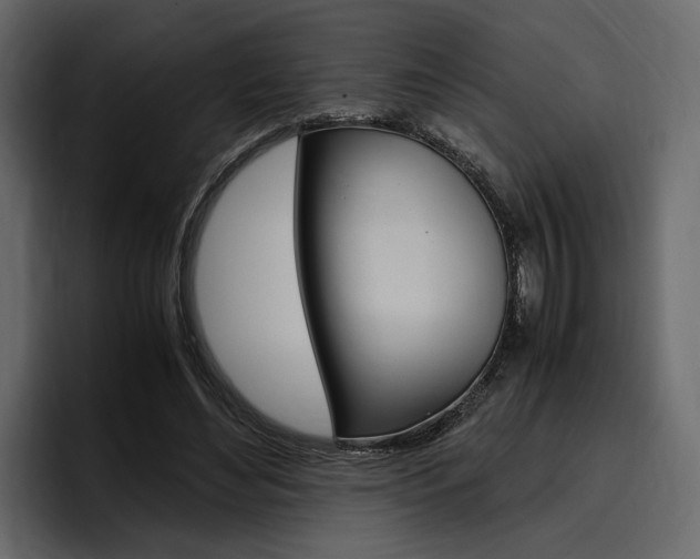 X0000097480492200802220823