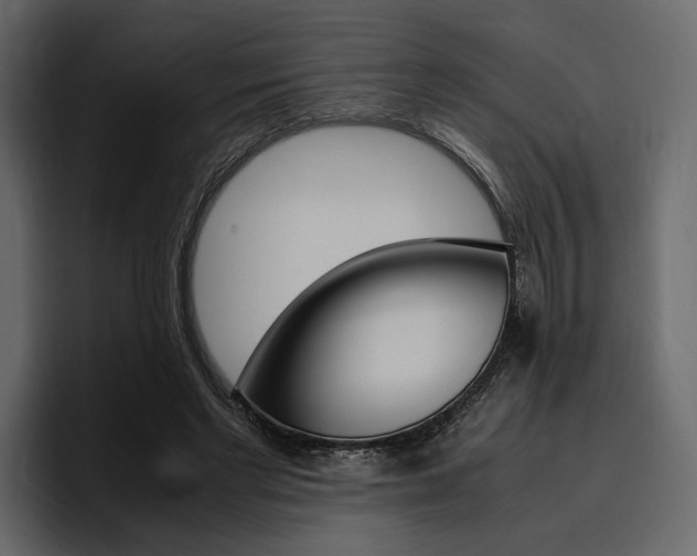 X0000097480493200802220823