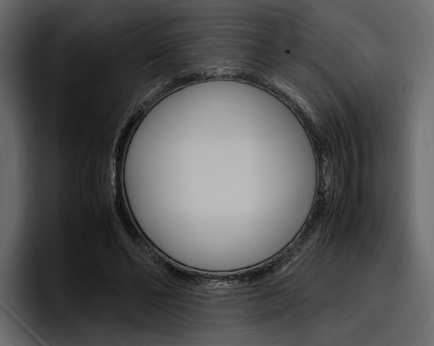 X0000097480494200802220823
