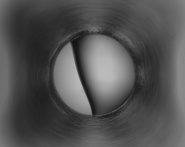 X0000097480496200802220823