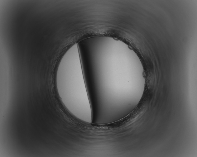 X0000097480497200802220823