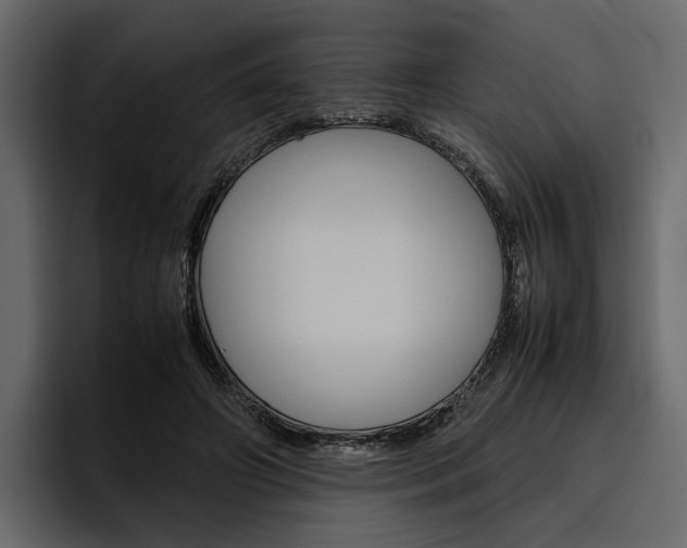 X0000097480498200802220823