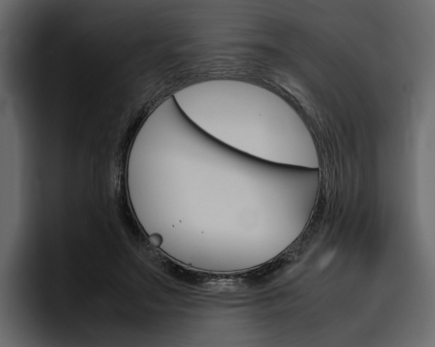X0000097480499200802220823