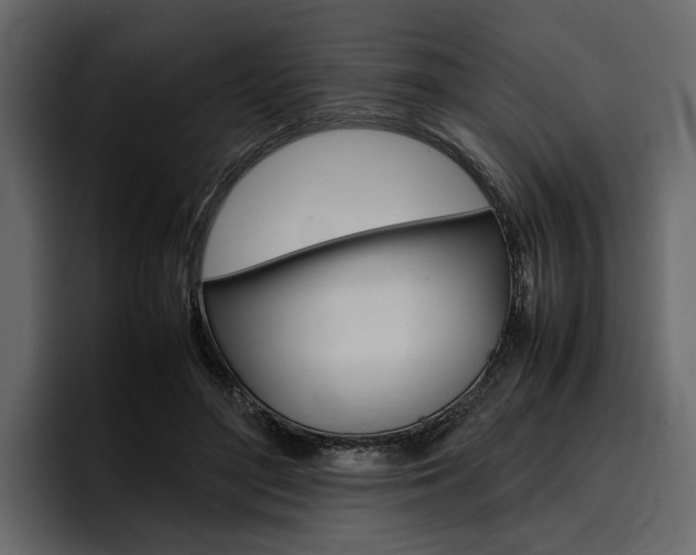 X0000097480500200802220823