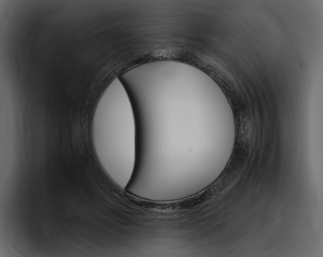 X0000097480502200802220823