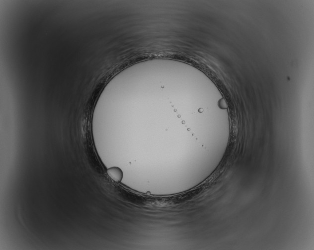 X0000097480503200802220823