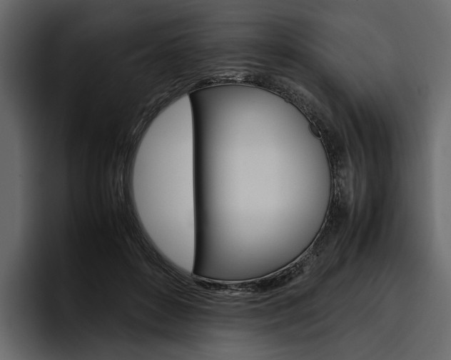 X0000097480504200802220823