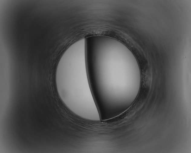 X0000097480505200802220823