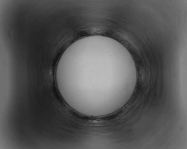 X0000097480506200802220823