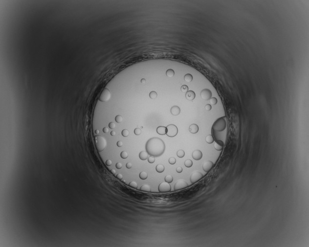 X0000097480507200802220823