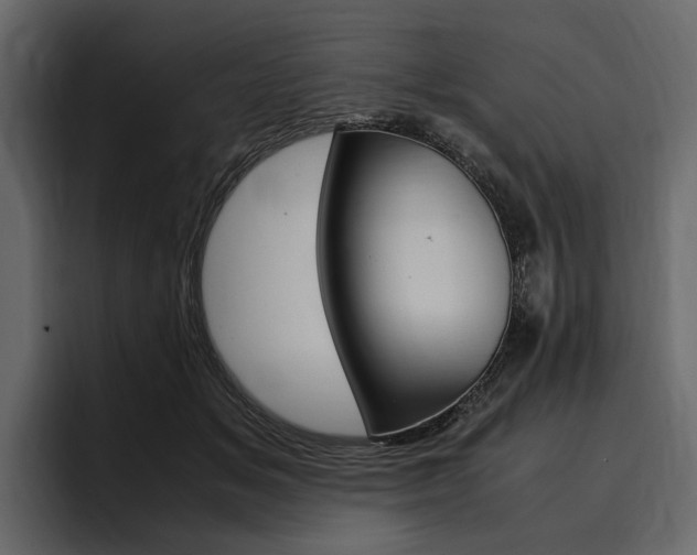 X0000097480509200802220823