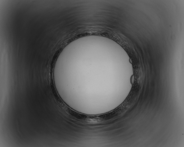 X0000097480510200802220823