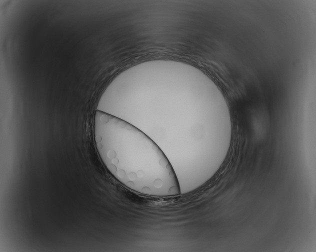 X0000097480511200802220823