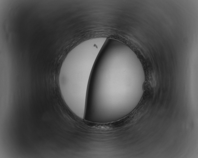X0000097480512200802220823