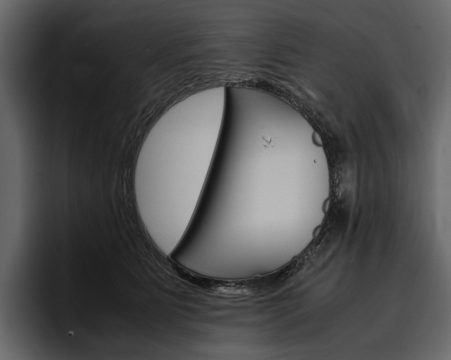 X0000097480515200802220823