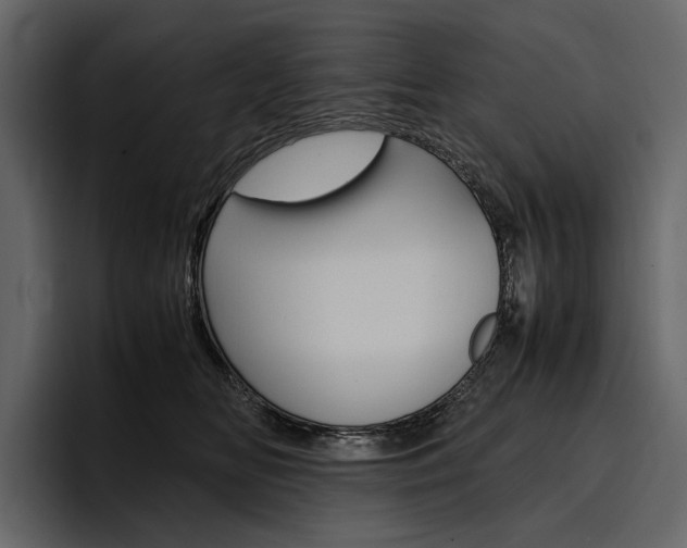 X0000097480518200802220823