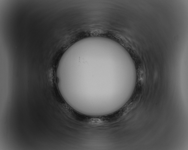X0000097480519200802220823