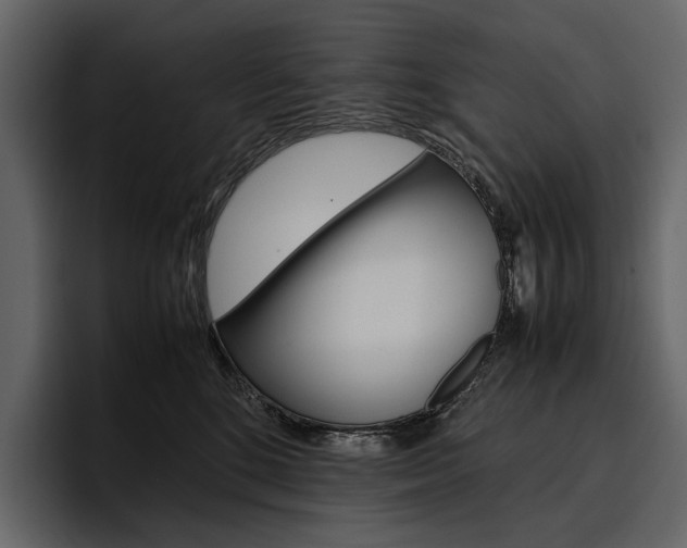 X0000097480520200802220823