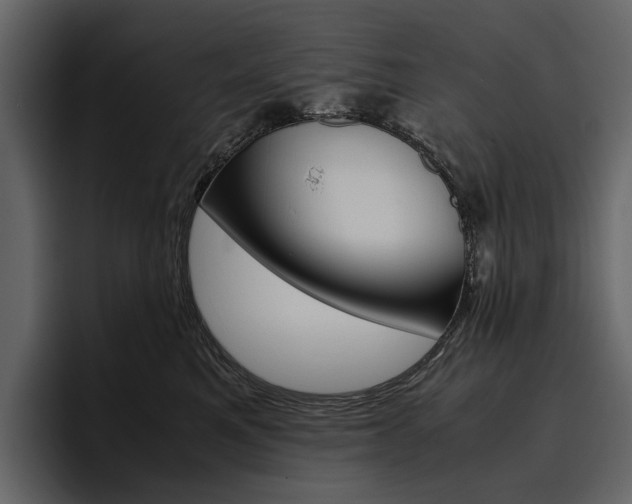 X0000097480521200802220823