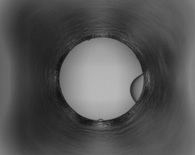 X0000097480522200802220823