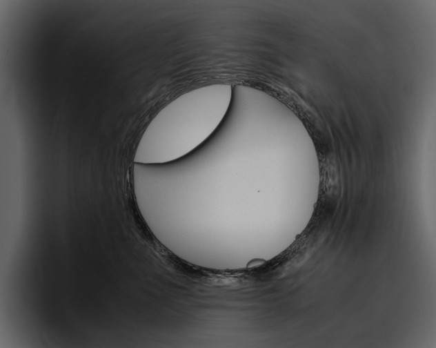 X0000097480523200802220823