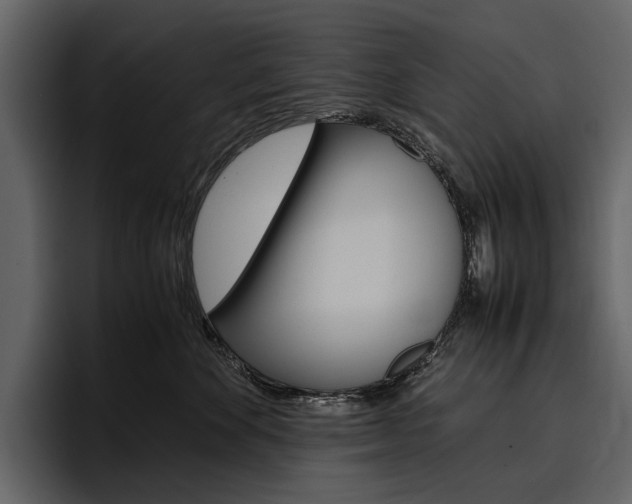X0000097480524200802220823