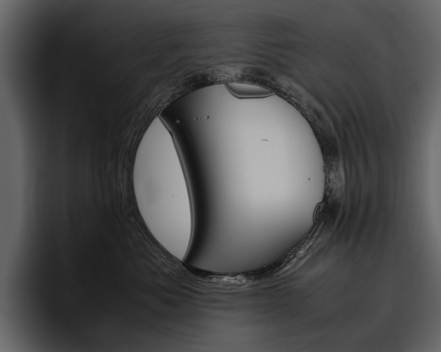 X0000097480525200802220823