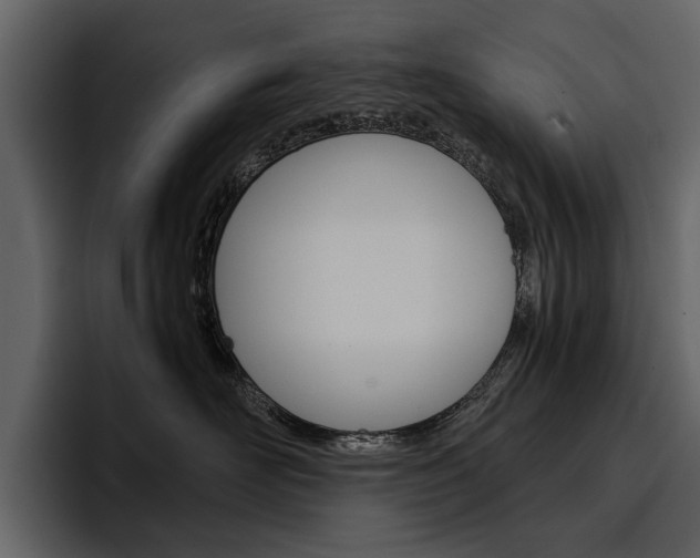 X0000097480526200802220823