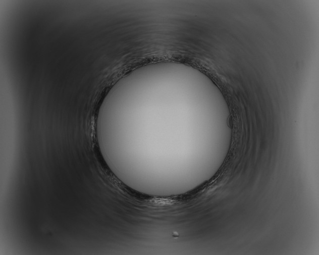 X0000097480528200802220823
