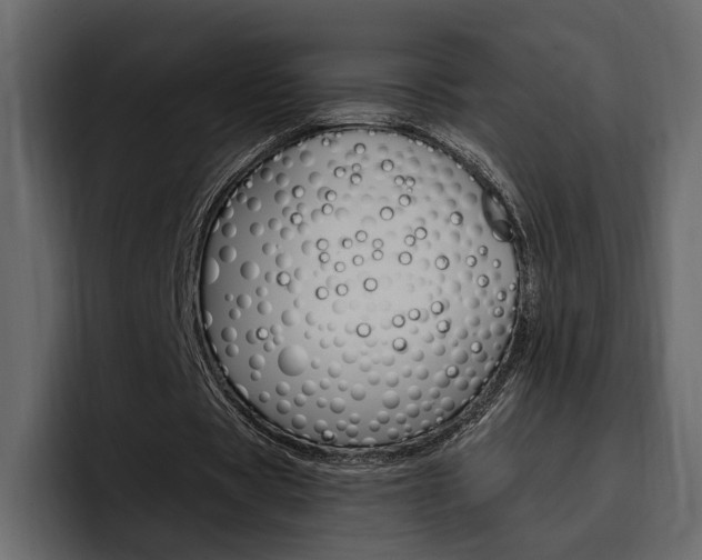 X0000097480529200802220822