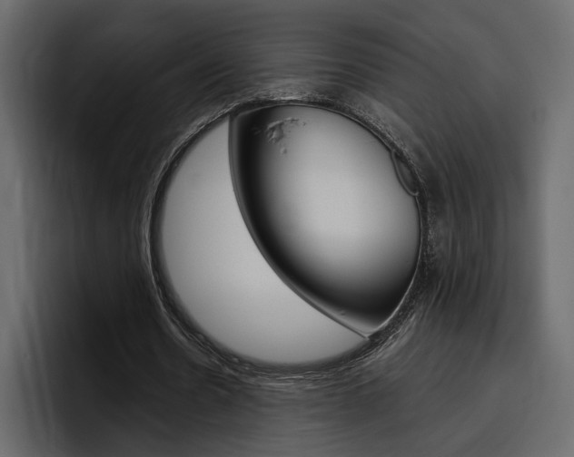 X0000097480530200802220822