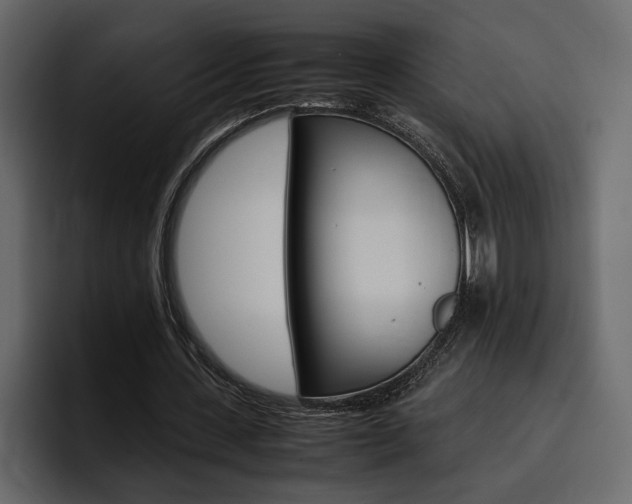 X0000097480531200802220822