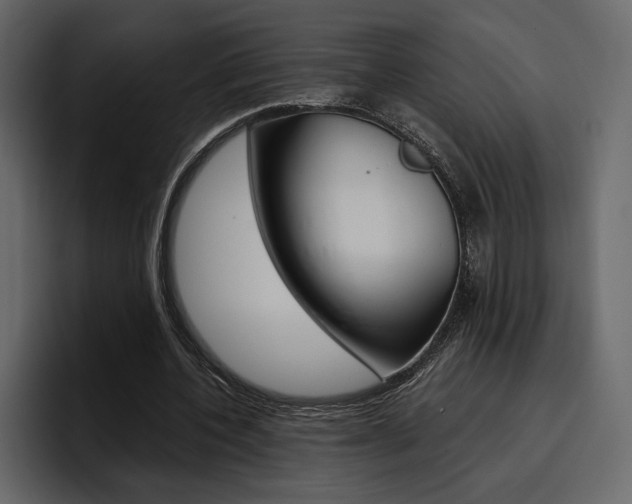X0000097480532200802220822