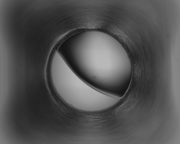 X0000097480536200802220822