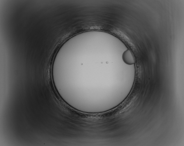 X0000097480537200802220822