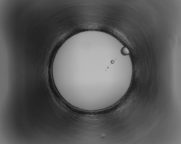 X0000097480538200802220822
