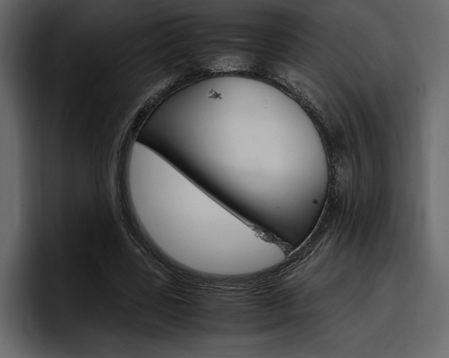 X0000097480539200802220822