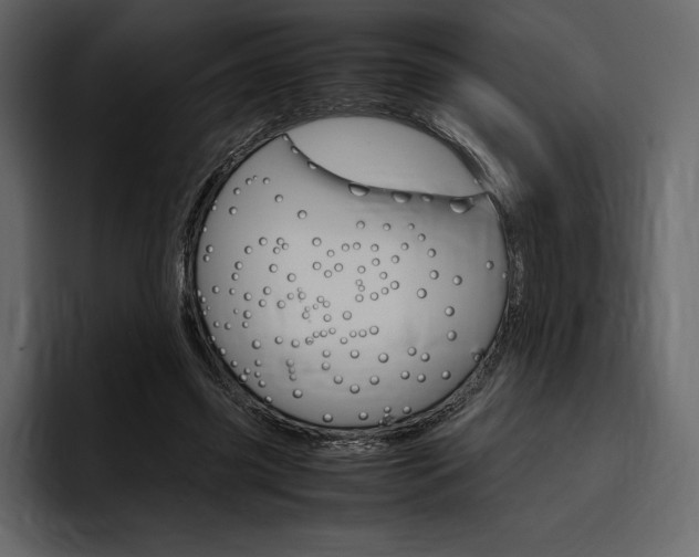 X0000097480541200802220822
