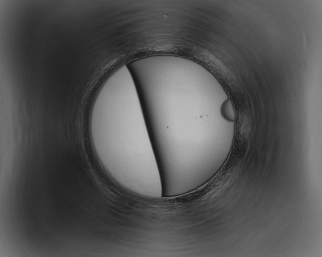 X0000097480542200802220822