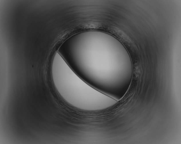 X0000097480544200802220822