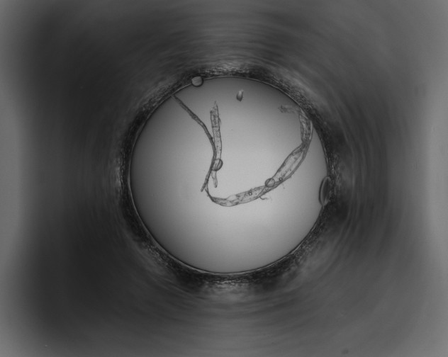 X0000097480546200802220822